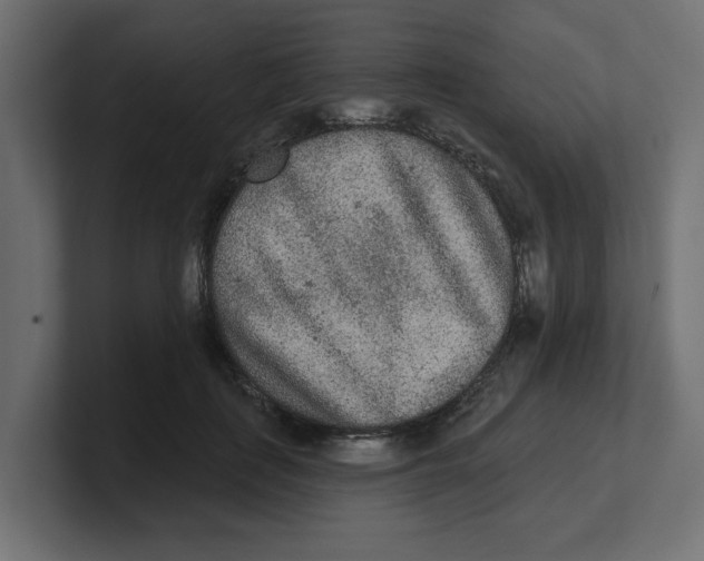 X0000100360651200806271424