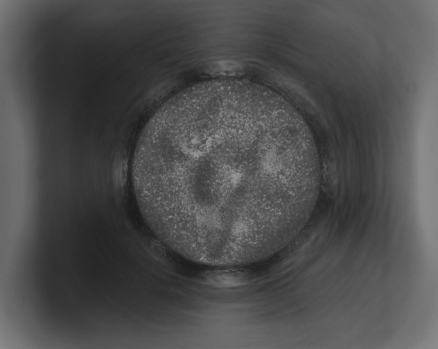 X0000100360652200806271424