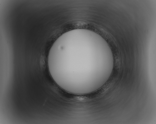 X0000100360654200806271424