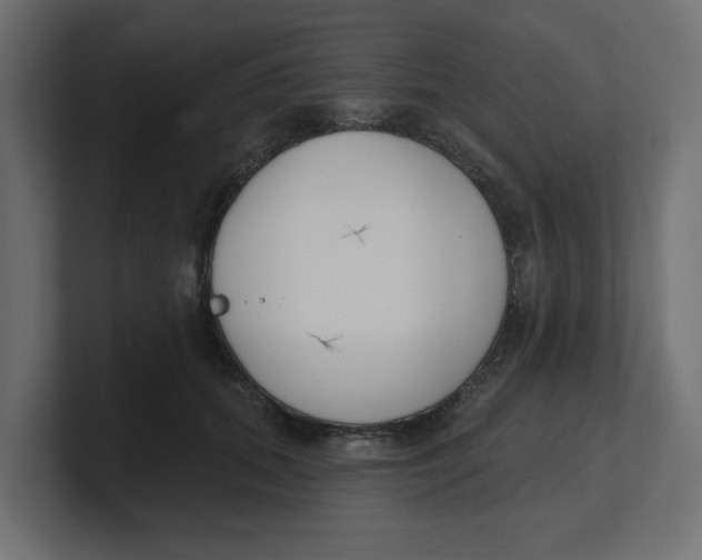 X0000100360655200806271424