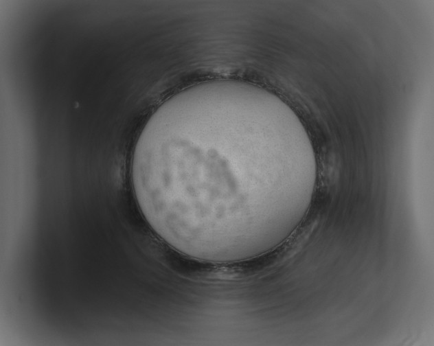 X0000100360656200806271424