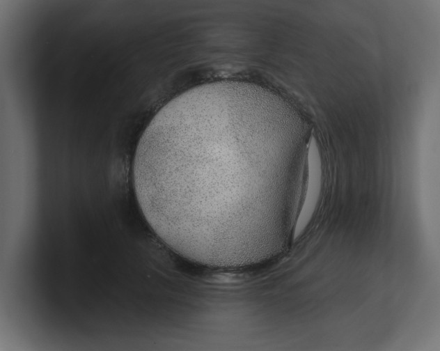 X0000100360657200806271424