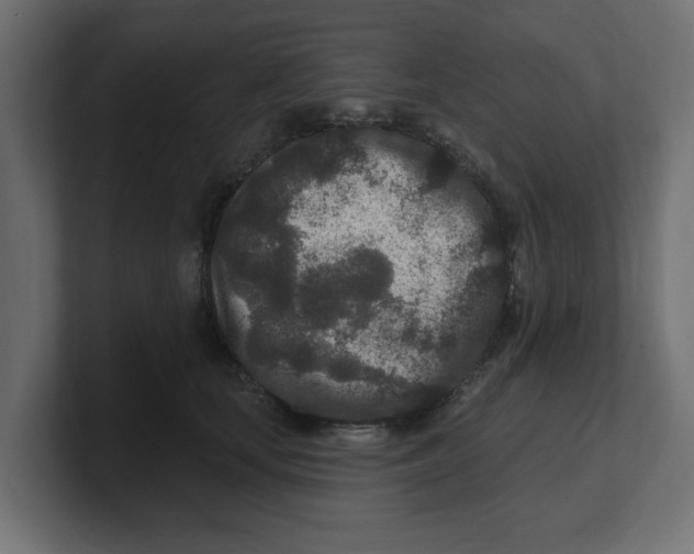 X0000100360659200806271424