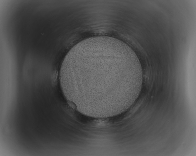 X0000100360660200806271424