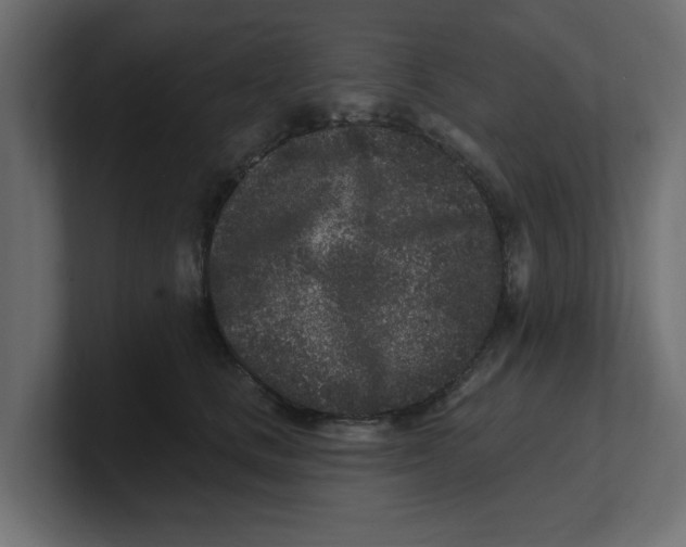 X0000100360661200806271424