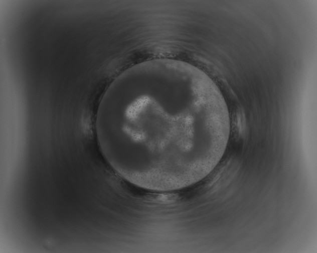 X0000100360663200806271425