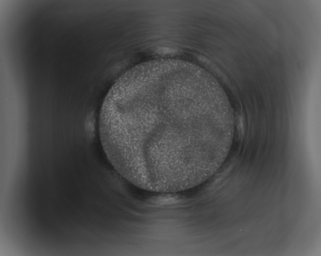 X0000100360668200806271425