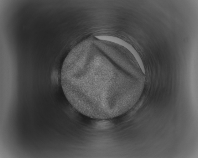 X0000100360669200806271425