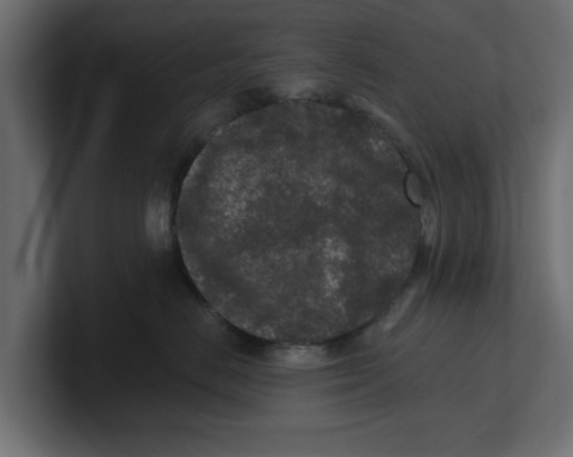 X0000100360670200806271425