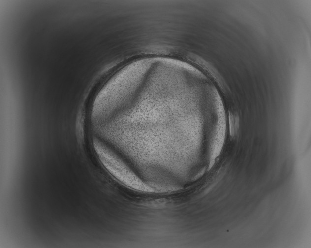 X0000100360675200806271424