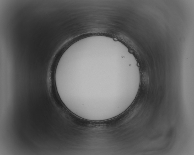 X0000100360676200806271424