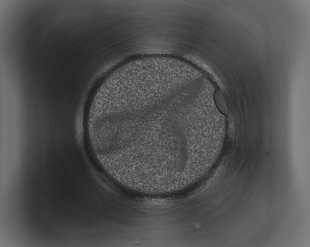 X0000100360677200806271424