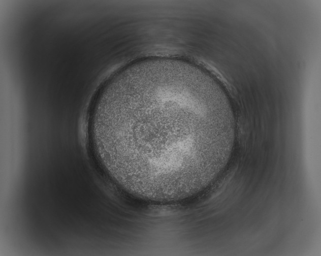 X0000100360679200806271424