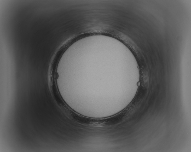 X0000100360680200806271424