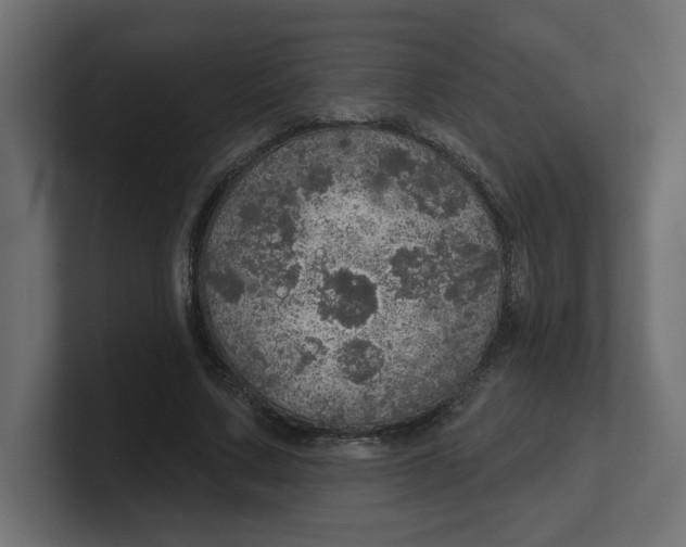 X0000100360683200806271424