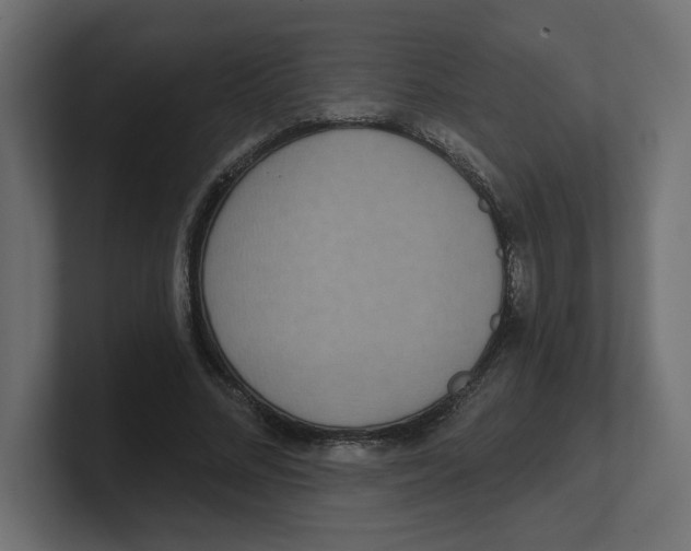 X0000100360684200806271424