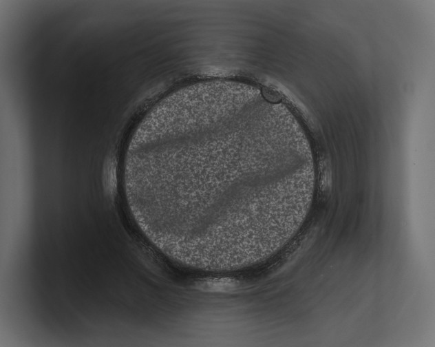 X0000100360685200806271424