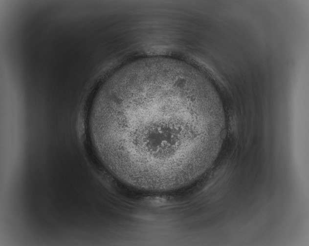 X0000100360687200806271424