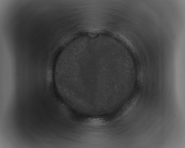 X0000100360689200806271424