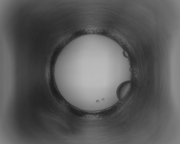 X0000100360690200806271424