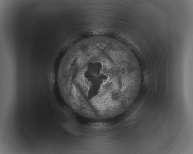 X0000100360691200806271424