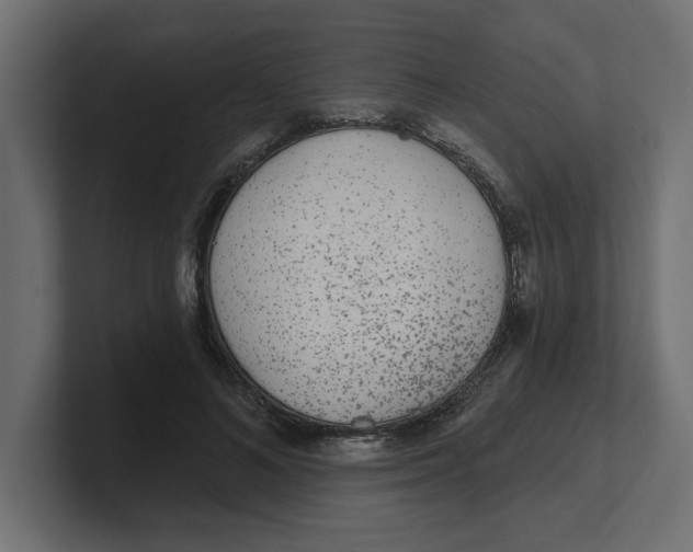 X0000100360692200806271424