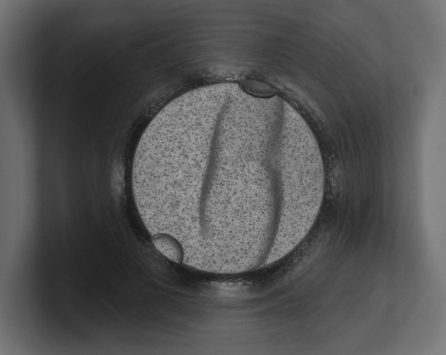 X0000100360693200806271424