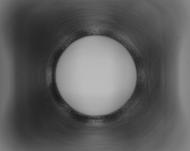 X0000100360694200806271424