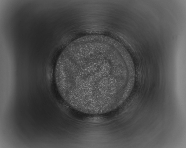 X0000100360695200806271424