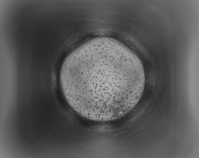 X0000100360696200806271424