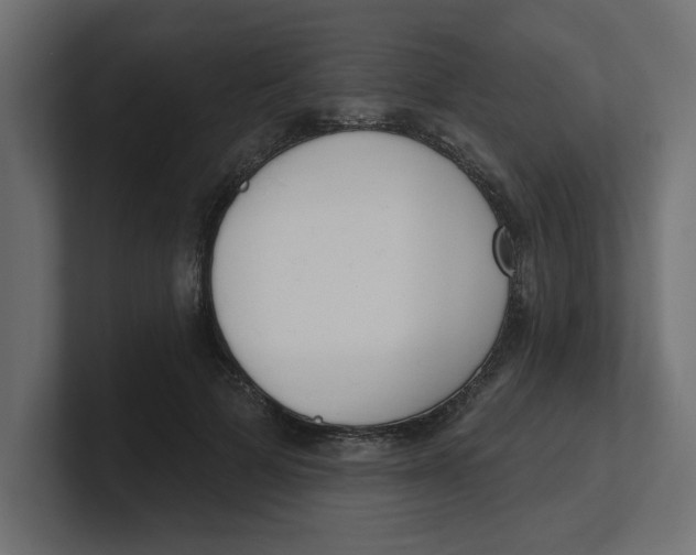 X0000100360697200806271424