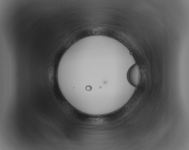 X0000100360698200806271424