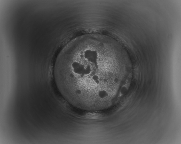 X0000100360699200806271424