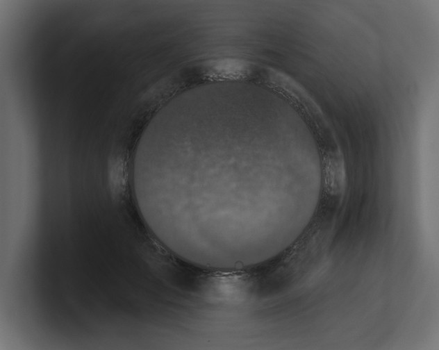 X0000100360701200806271424