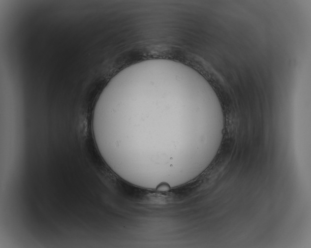 X0000100360703200806271424