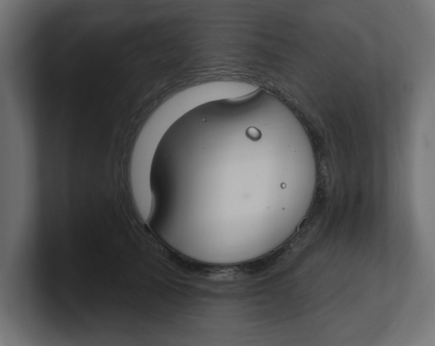 X0000100360705200806271424