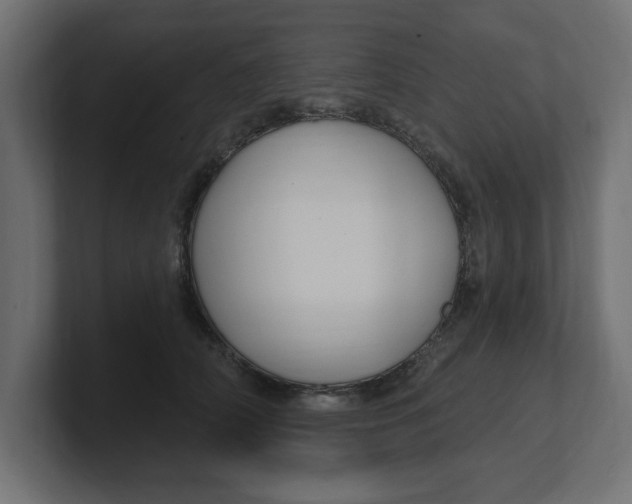 X0000100360706200806271424