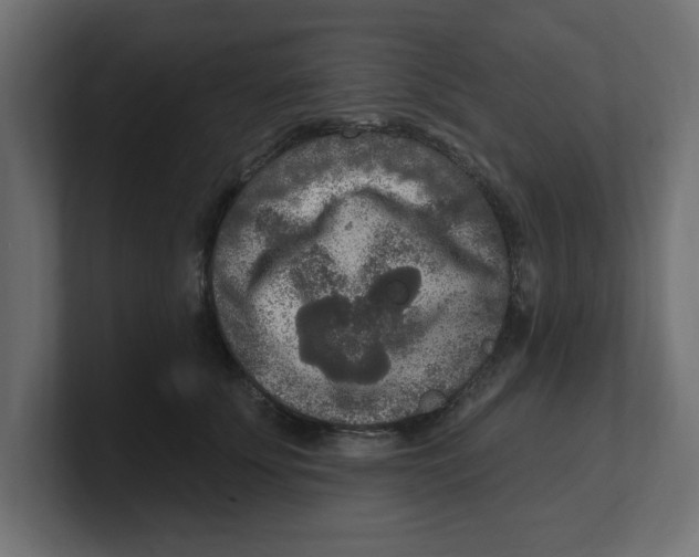 X0000100360707200806271424