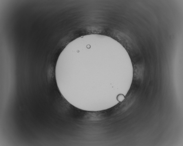 X0000100360713200806271423