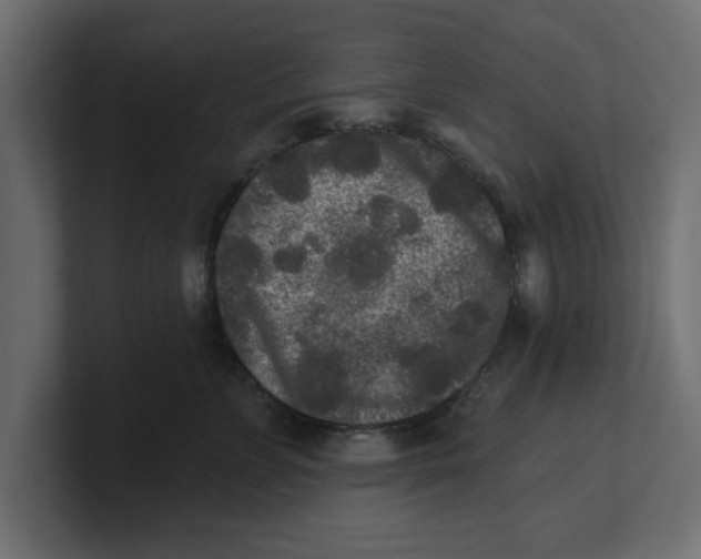 X0000100360715200806271423