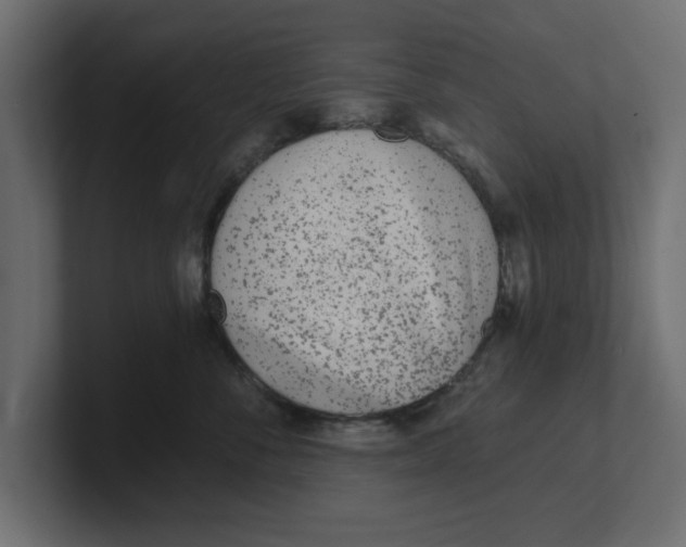 X0000100360716200806271423