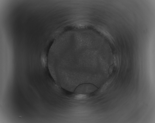 X0000100360718200806271423