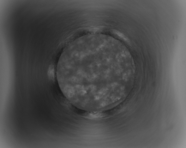 X0000100360720200806271423