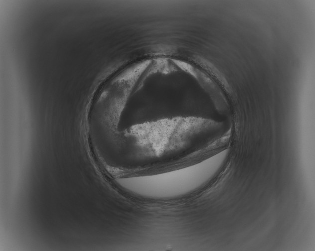 X0000100360721200806271423