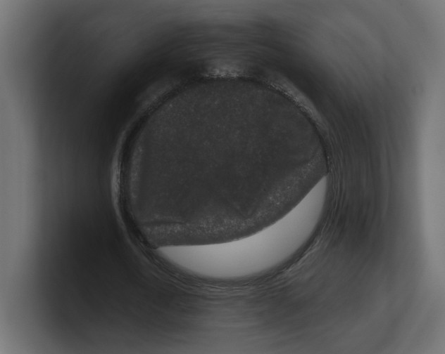 X0000100360722200806271423