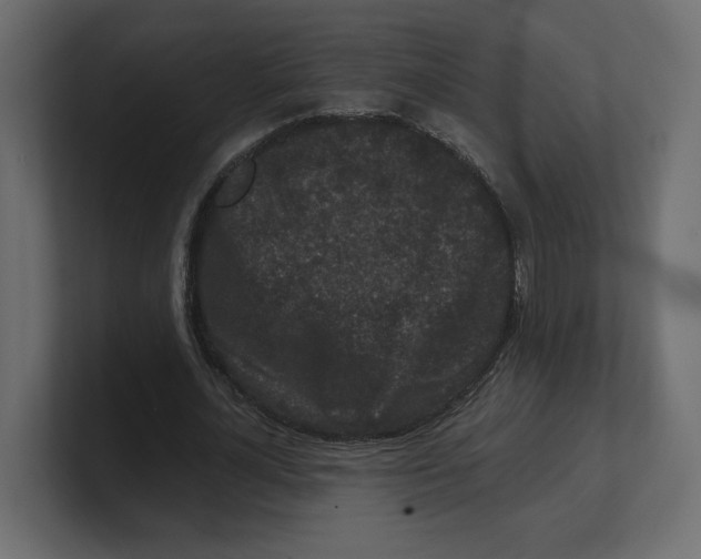 X0000100360724200806271423