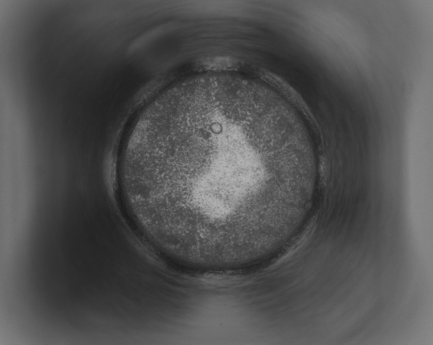 X0000100360725200806271423