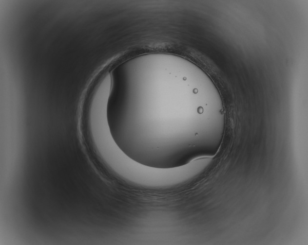 X0000100360728200806271423