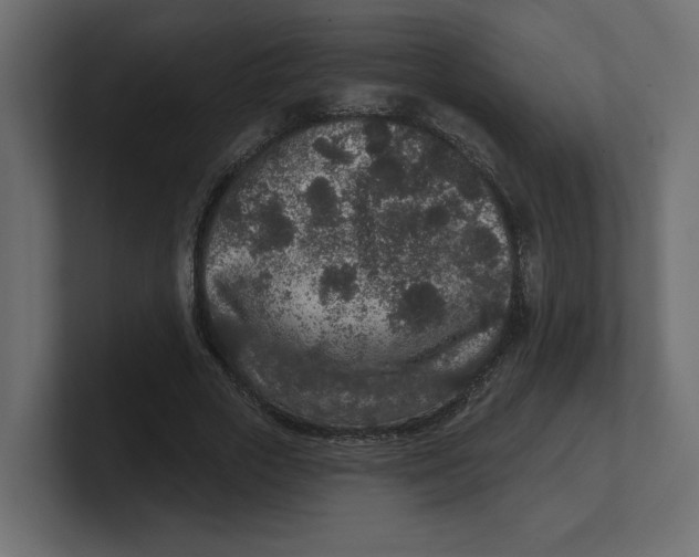 X0000100360729200806271423