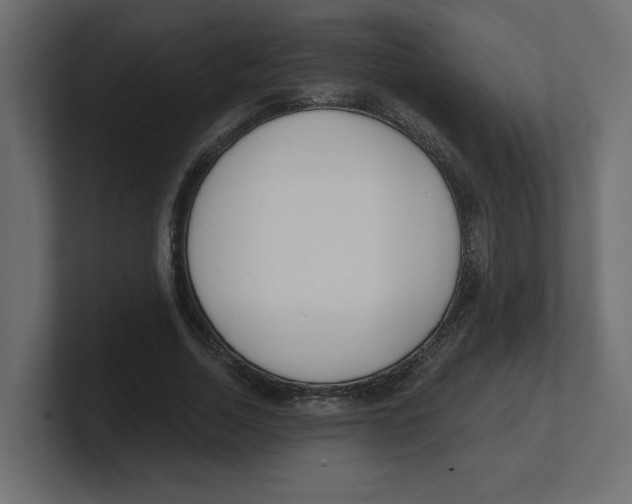 X0000100360730200806271423